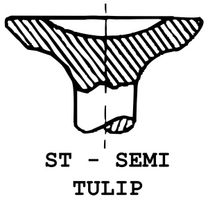 ST - Semi Tulip